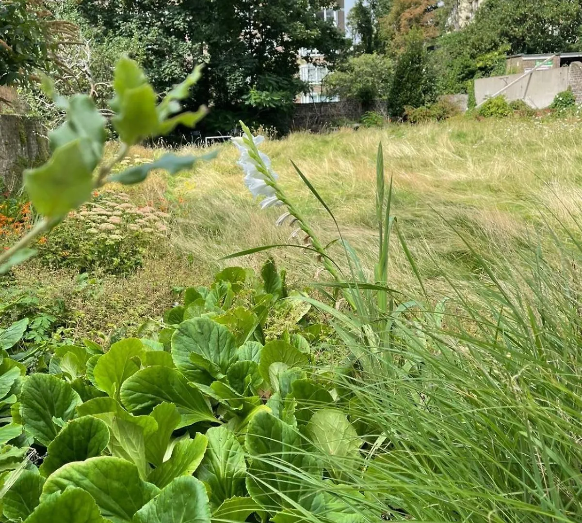 One Bed Garden Flat - Prime Location - Free Onsite Parking - Own Entrance Apartman Brighton Egyesült Királyság